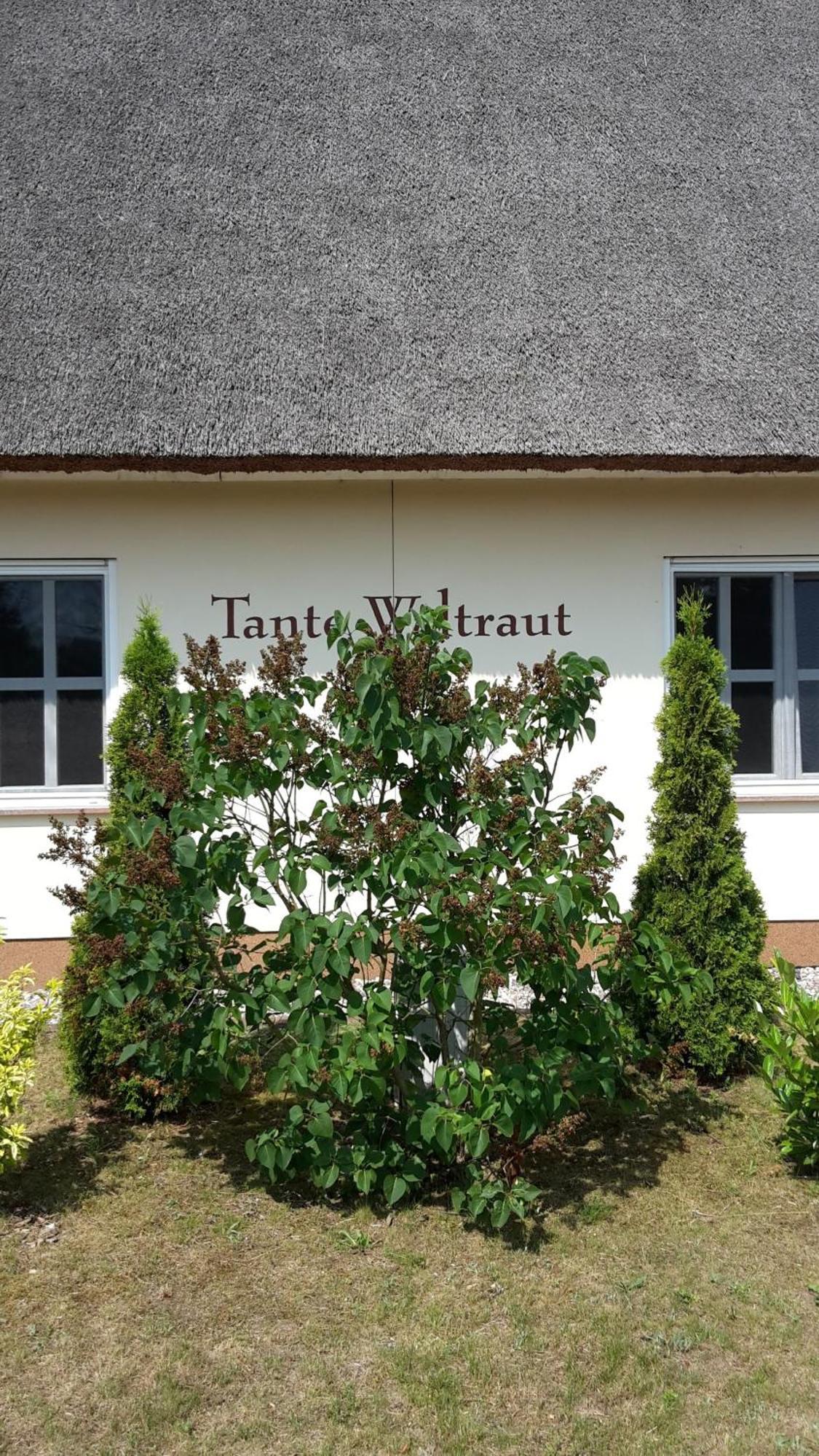 Villa Haeuschen "Tante Waltraut" Garz  Esterno foto